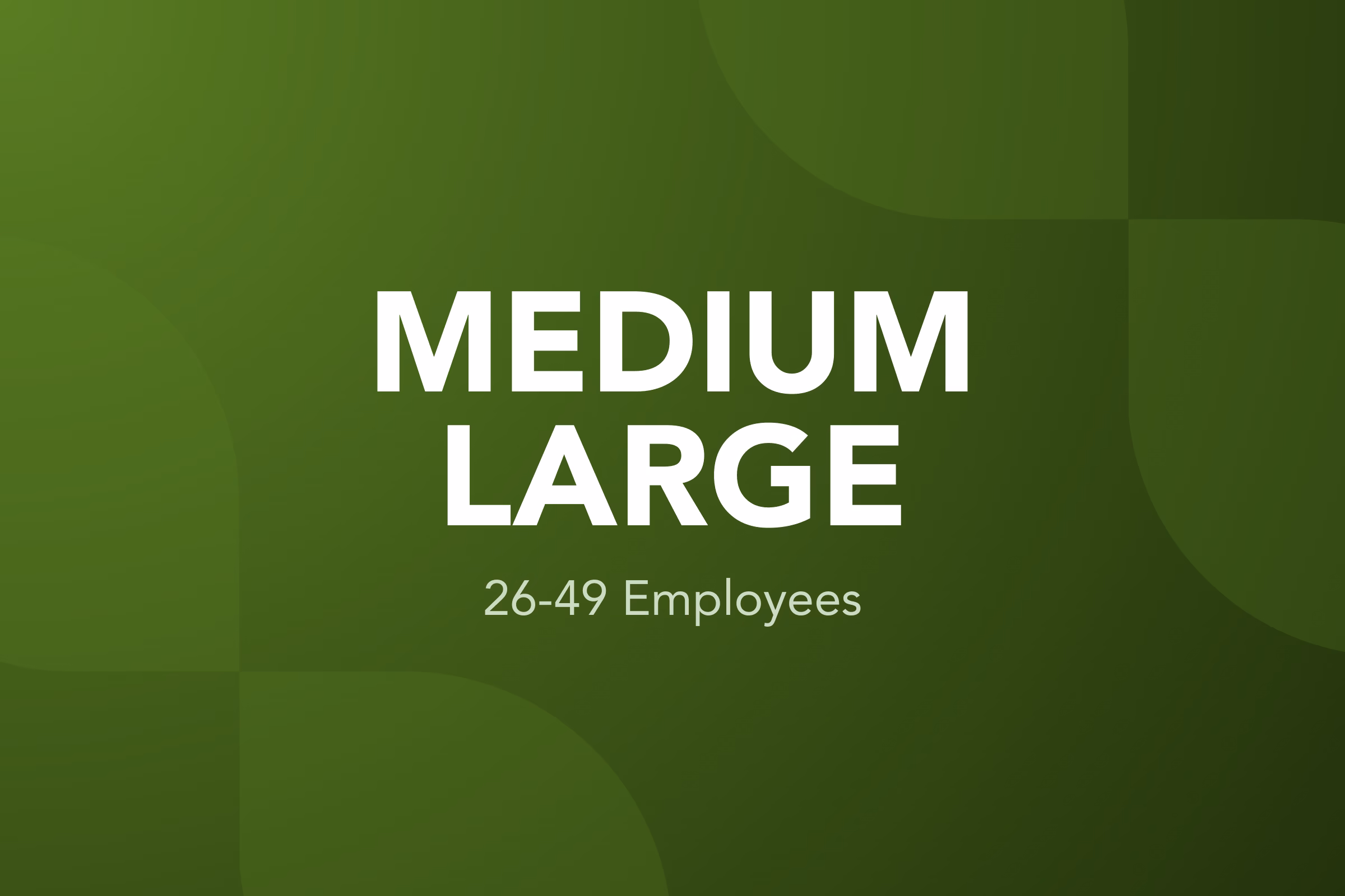Medium Large Business