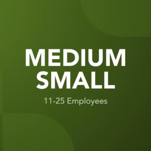 Medium Small Business