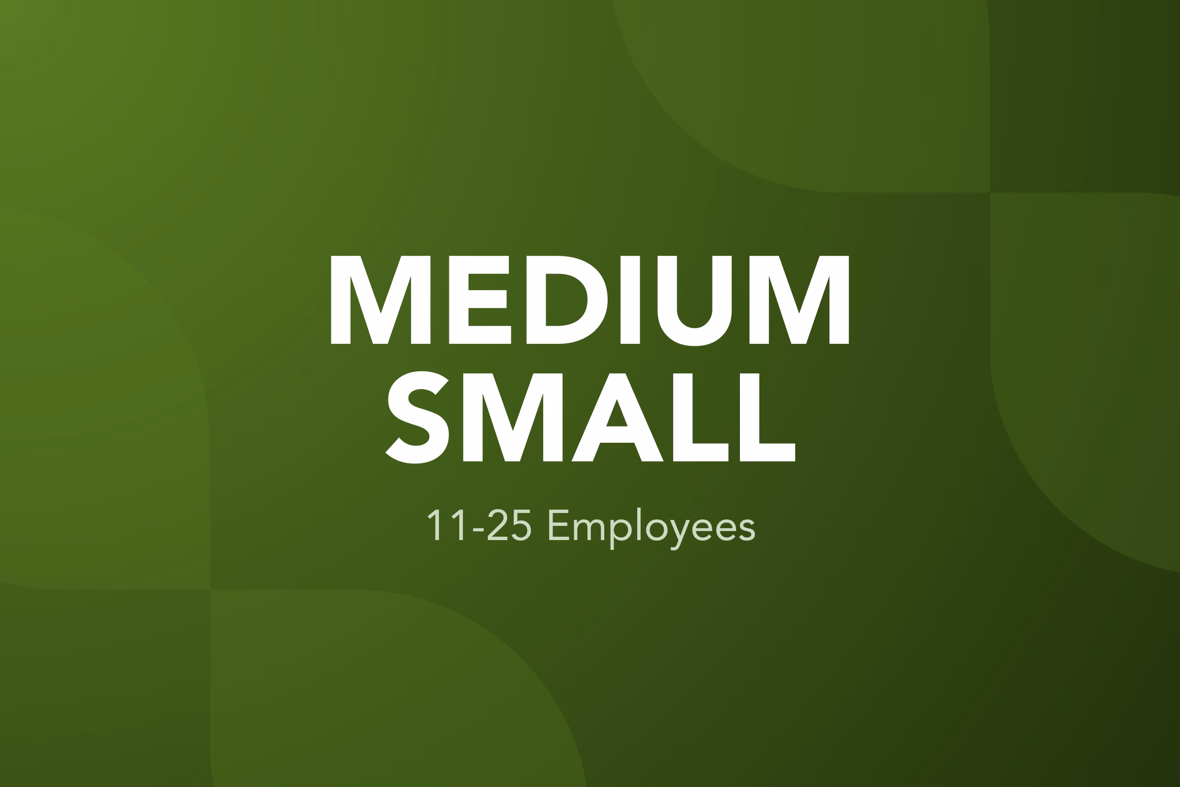 Medium Small Business
