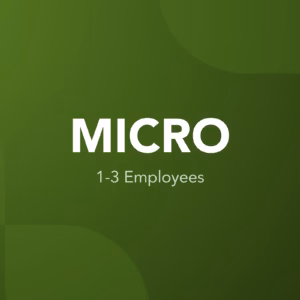 Micro Business