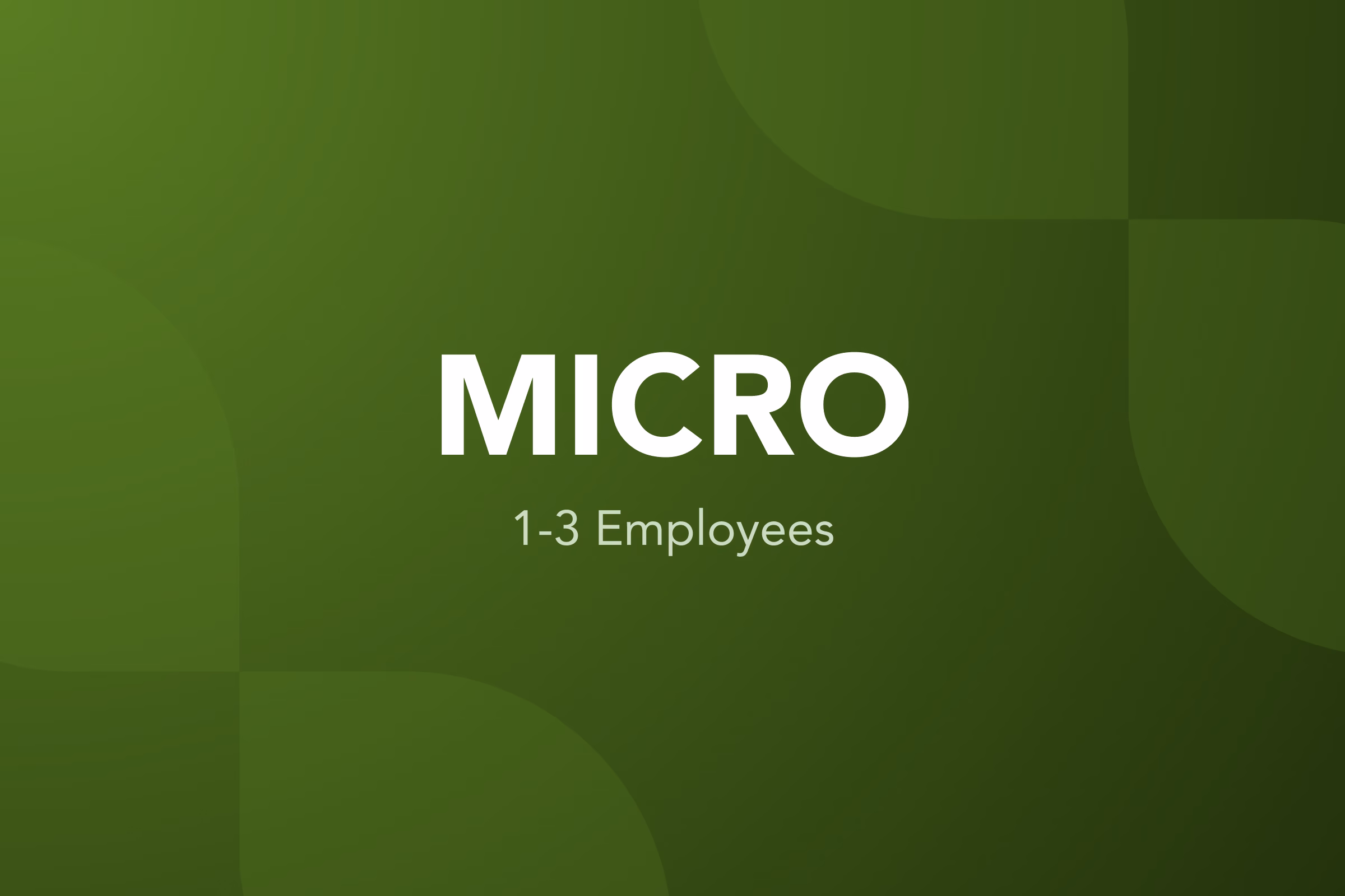 Micro Business